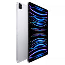 iPad Pro 12.9-inch 6th Gen - Fair